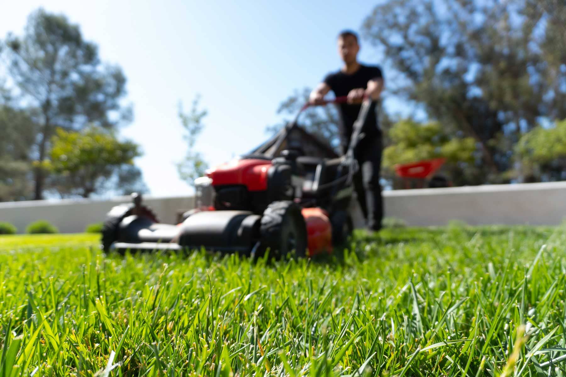 landscape-maintenance-35